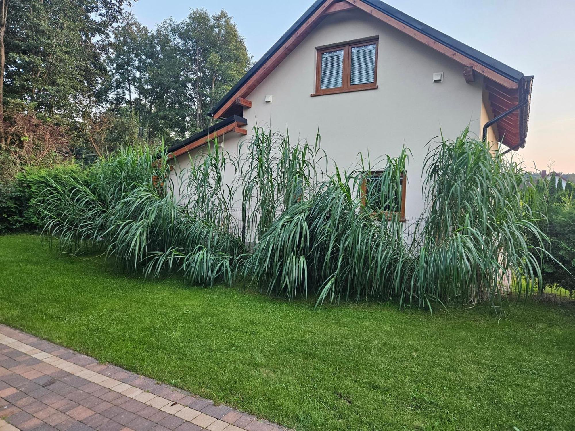 Osada Cztery Pory Roku -Dom Lato Villa Kopalino Exteriör bild